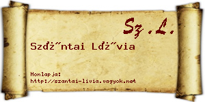 Szántai Lívia névjegykártya
