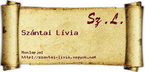 Szántai Lívia névjegykártya